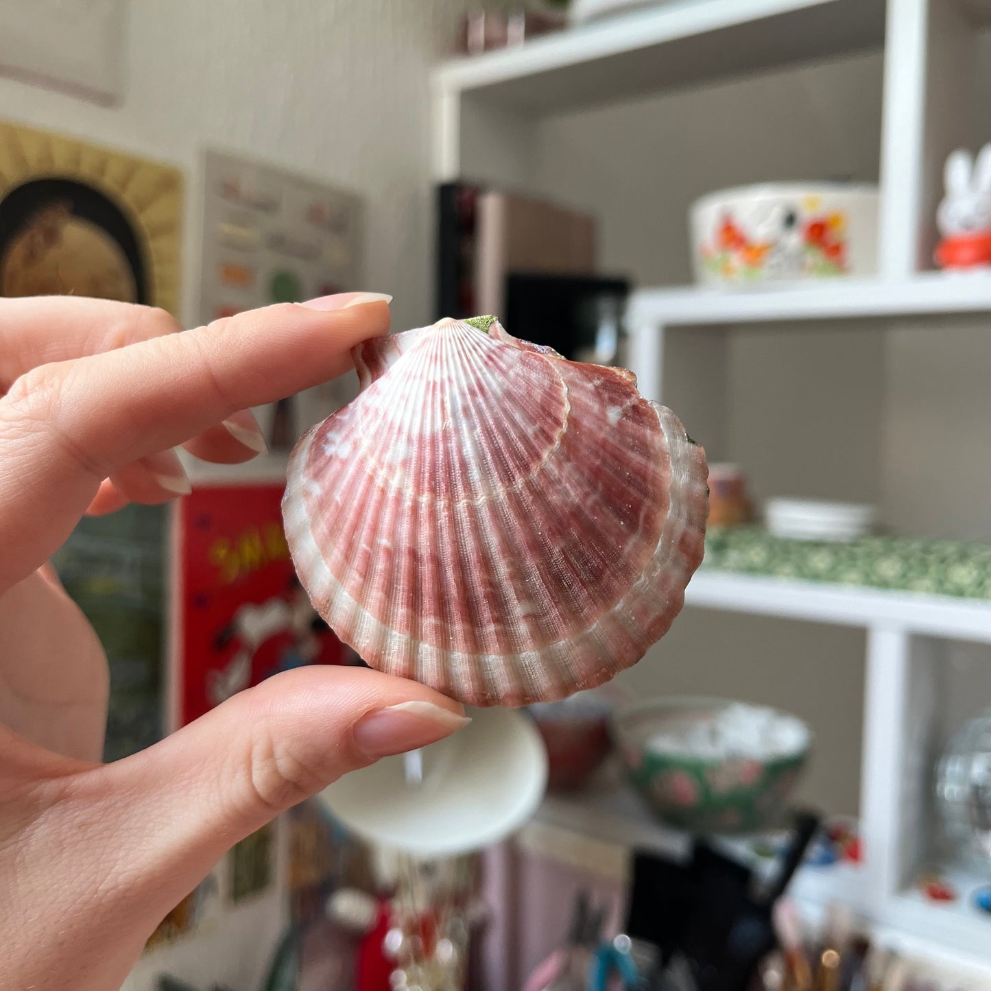 ‘monet’ shell ring dish